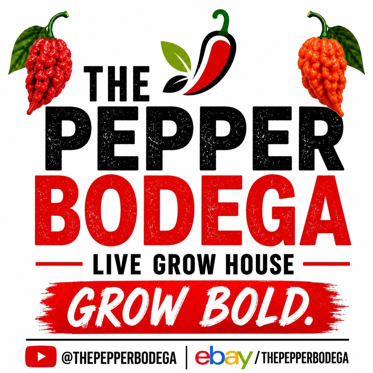 🌶️ Ghost X Primotalii Pepper Seeds (10) | OPEN POLLINATED | Superhot