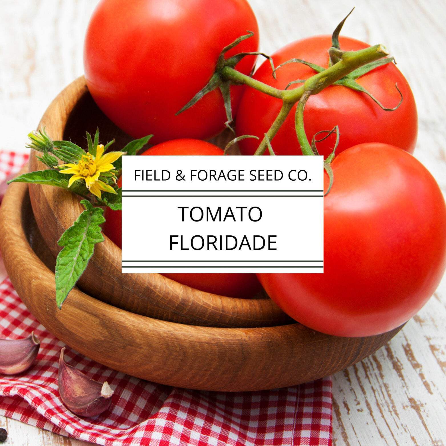 Tomato Floridade | Heat-Tolerant Heirloom | Non-GMO | 300 Seeds