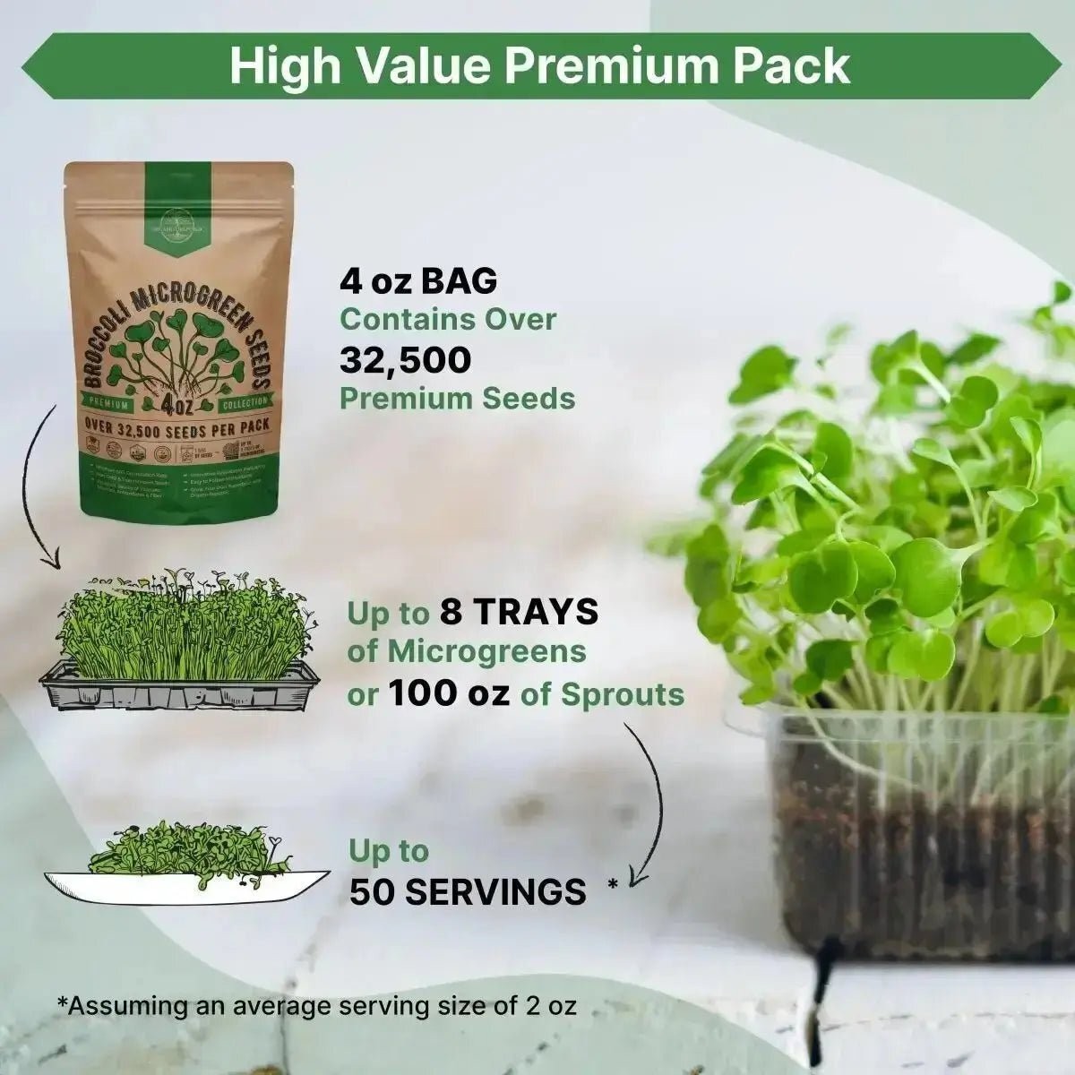 Broccoli Sprouting & Microgreens Seeds 4oz