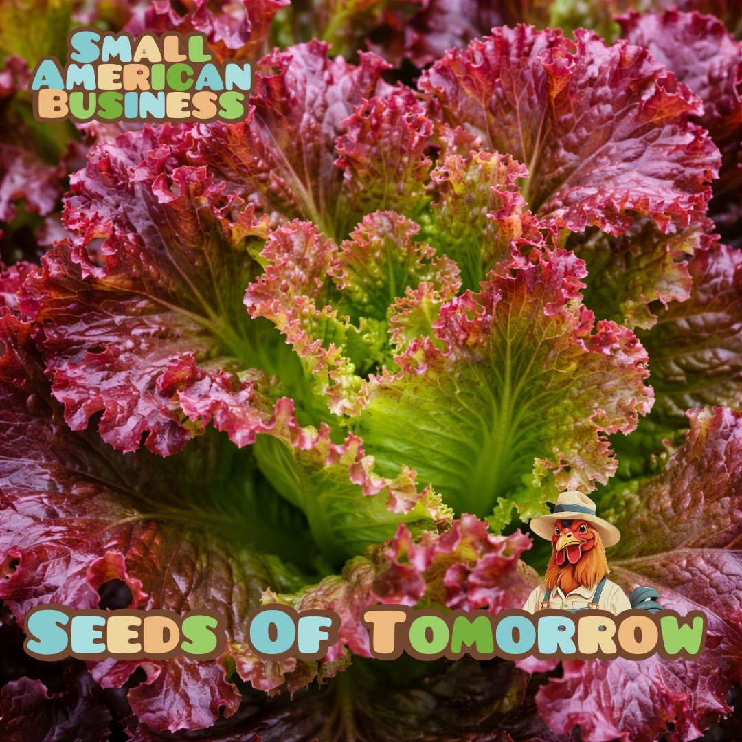 2000 Organic Ruby Red Lettuce Seeds Non Gmo Heirloom- With Bonus!