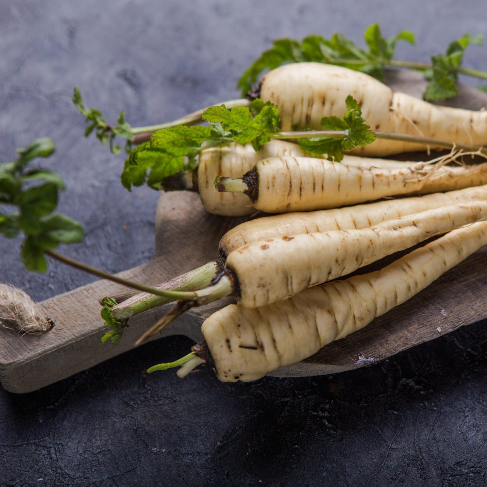 Hollow Crown Parsnip Seeds, NON-GMO, Variety Size Packets, FREE SHIPPING