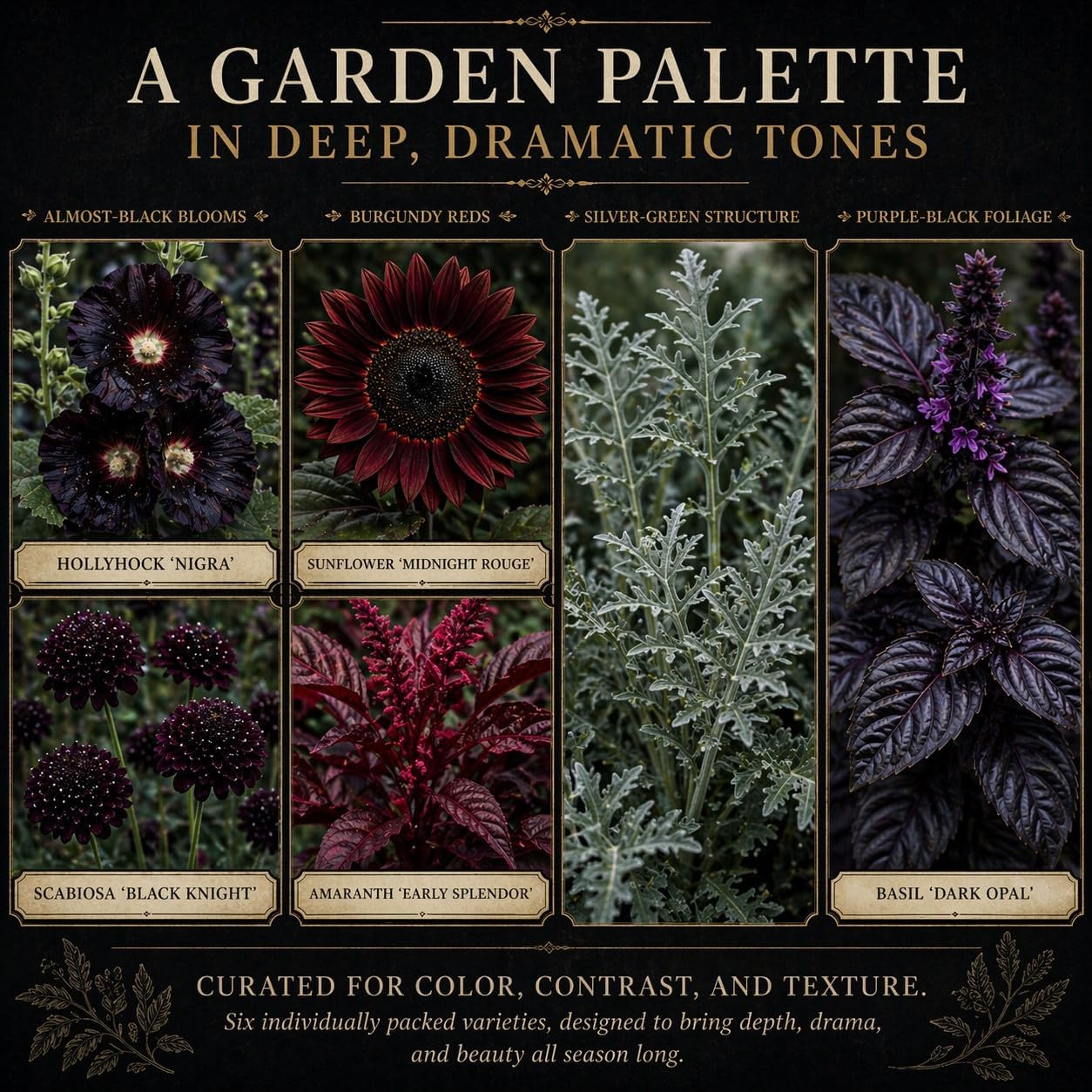 Gothic Garden Seed Collection, 6 Open-Pollinated Flower & Foliage Varieties