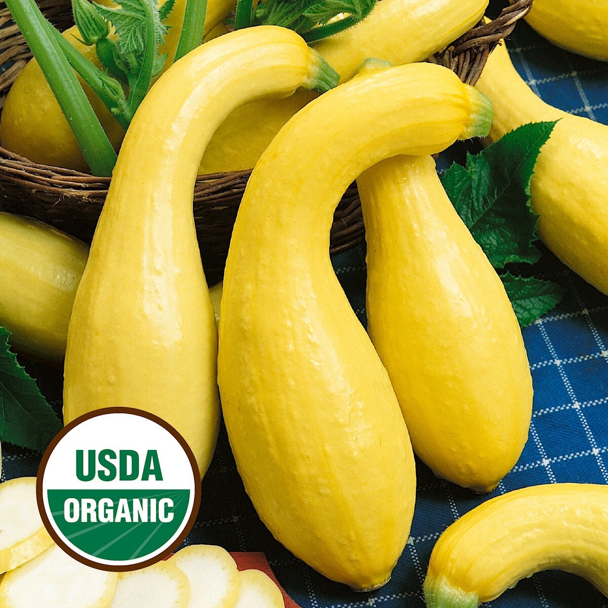 20 Organic Early Summer Crookneck Summer Squash Seeds – Everwilde Farms Mylar