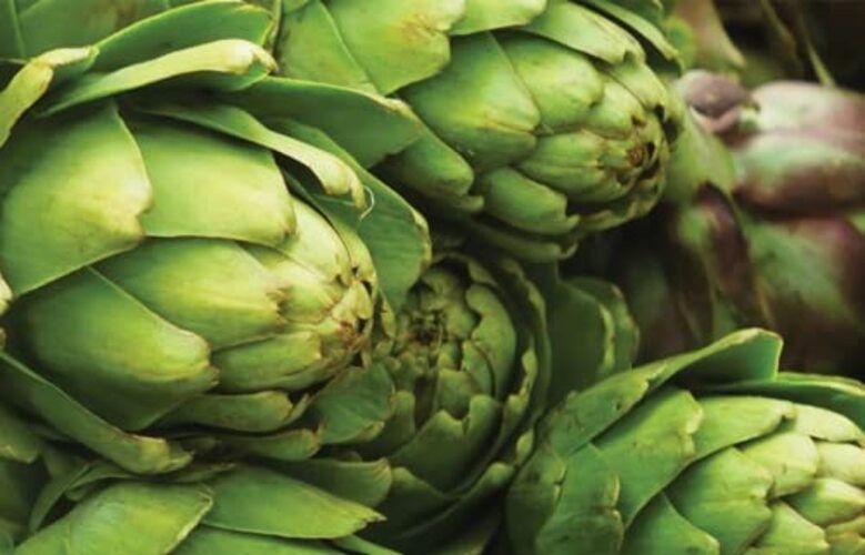 for Planting, Green Globe High Germination Rates, 1 Pack Artichoke Seeds