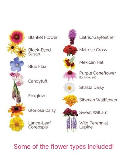 3000+ (1oz+) Spring Planting WILDFLOWERS Non-GMO Seeds PLANT NOW! FREE SHIP