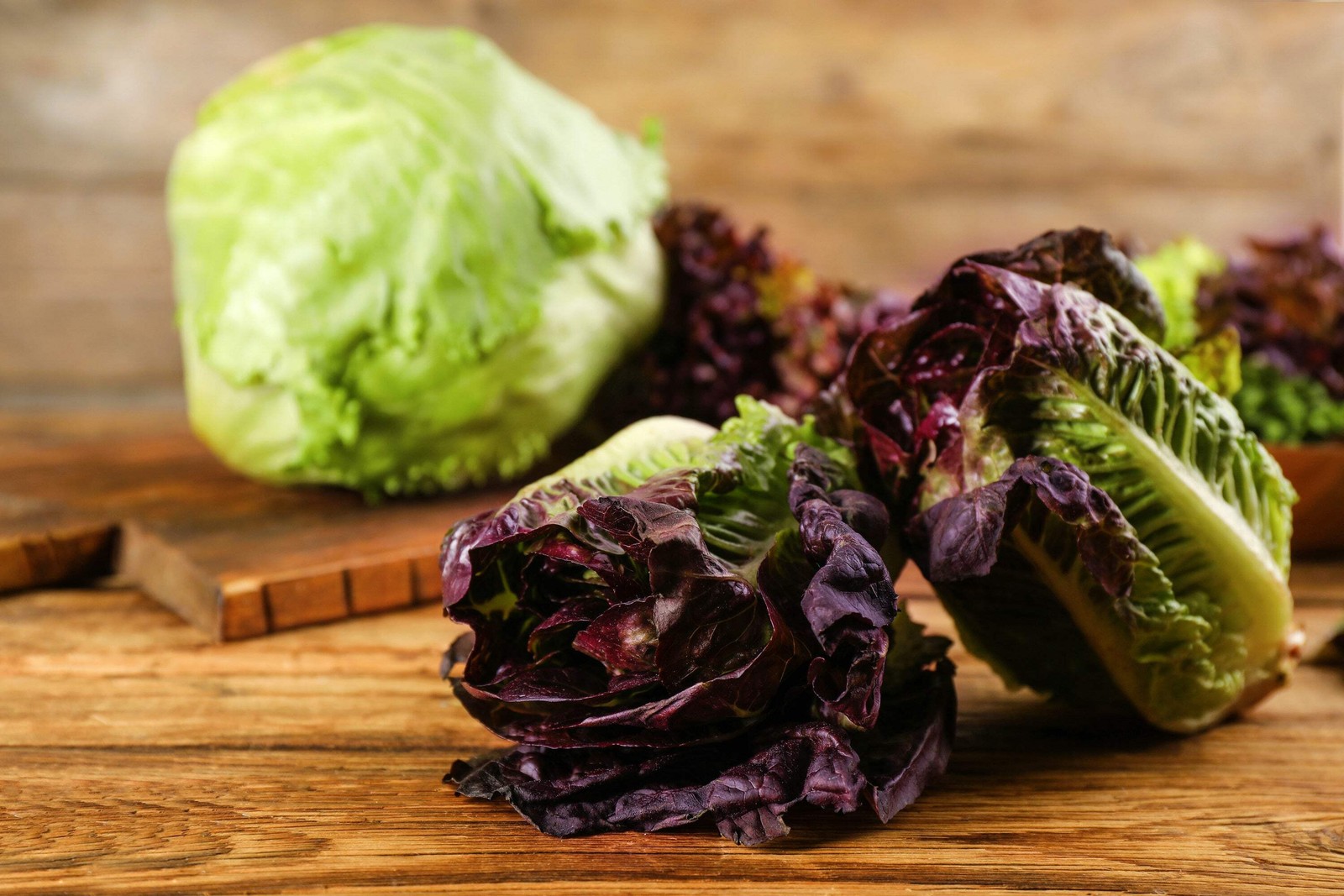 3000 RED ROMAINE LETTUCE Lactuca Sativa Vegetable Seeds *Flat S/H