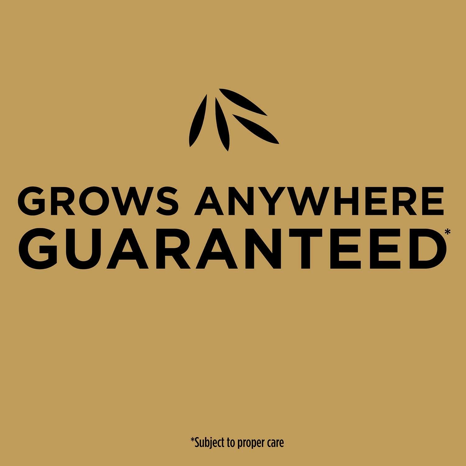 Scotts EZ Seed Patch & Repair for Sun and Shade Combination Mulch, Sun and Shade
