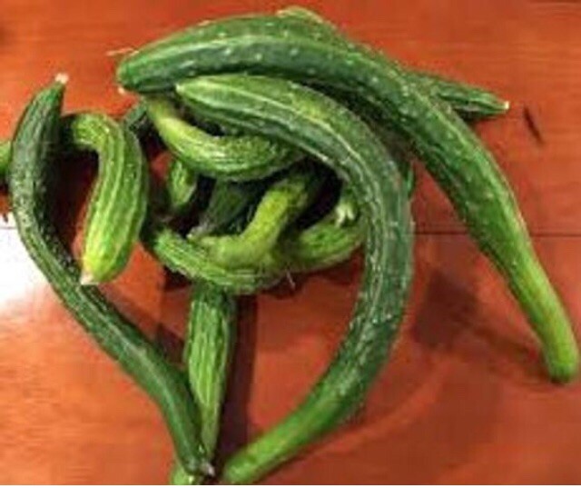 60 organic SUYO LONG SOOYOW SUHYO burpless Japanese cucumber seeds 帶刺小黃瓜 四葉胡瓜
