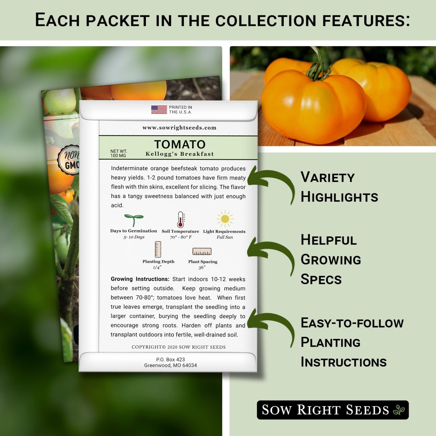 Exotic Vegetable Seed Collection 10 Pack NonGMO Heirloom Planting Garden