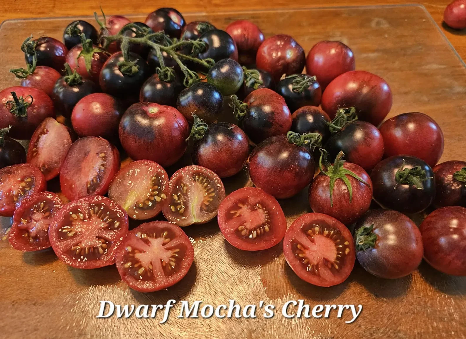 10 seeds Dwarf Mocha’s Cherry Tomato ORGANIC Rare Anthocyanin Variety