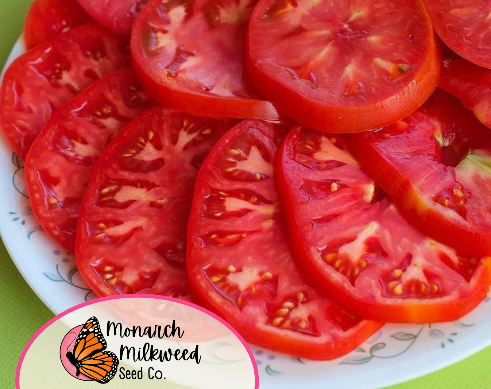 500+ Tomato Seeds ‘Beefsteak’ | Heirloom, Non-GMO, Vegetable Gardening Seeds