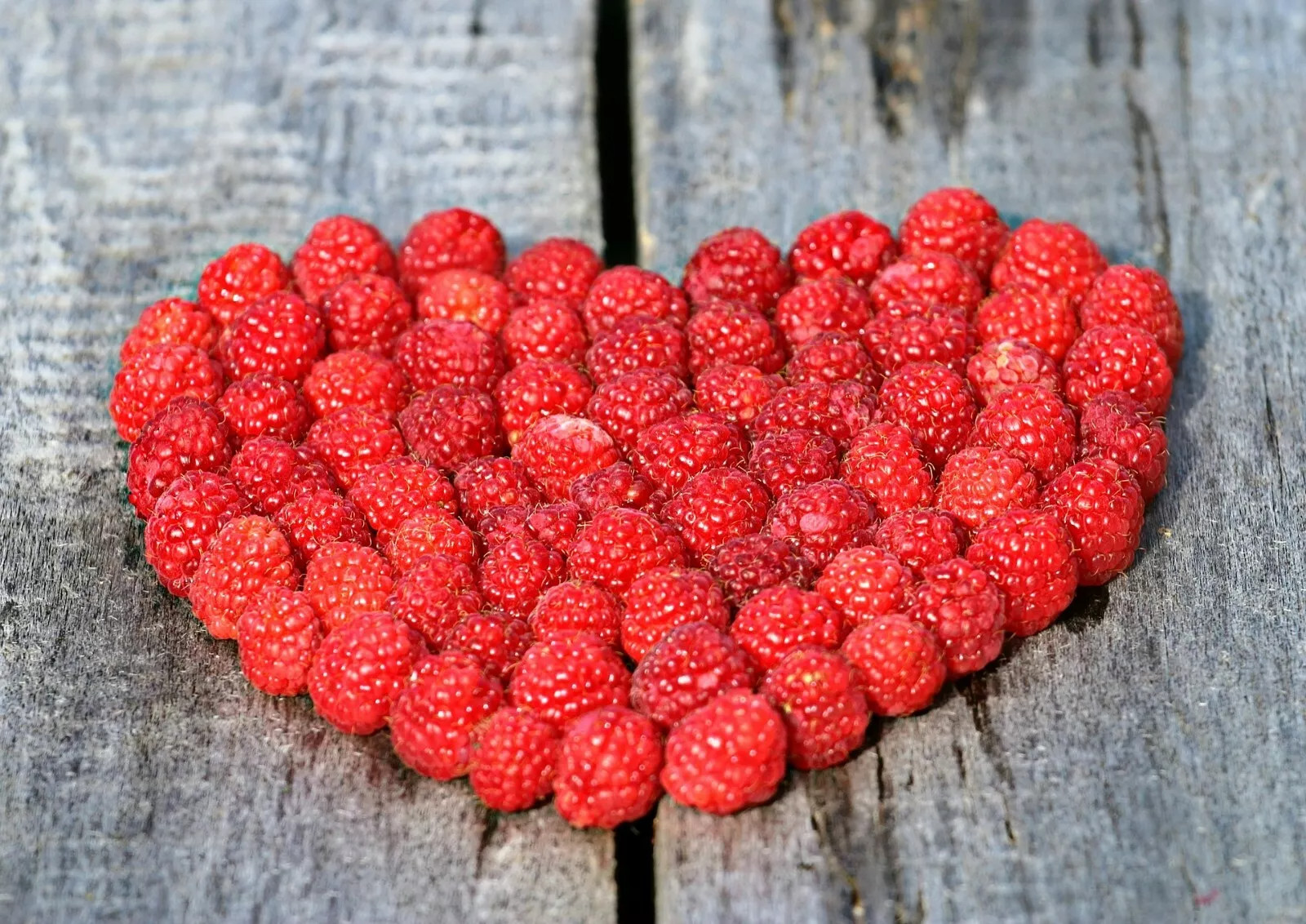 Red Raspberry {Rubus idaeus} 50+ seeds 98% Germination! NON-GMO SEEDS USA POST