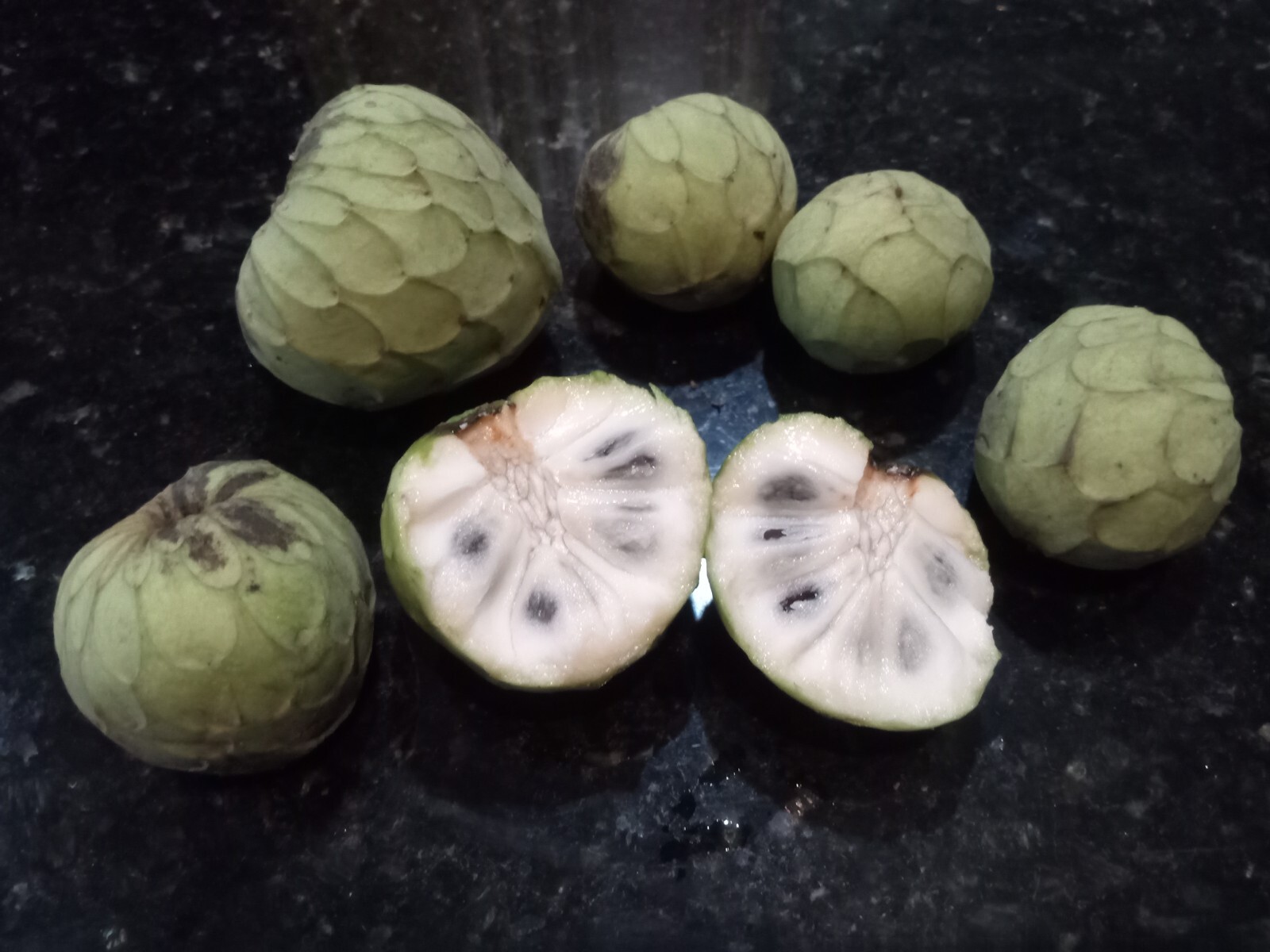 10 Organic Cherimoya/Custard Sugar Apple Tropical Fruit Seeds.US grown seeds.
