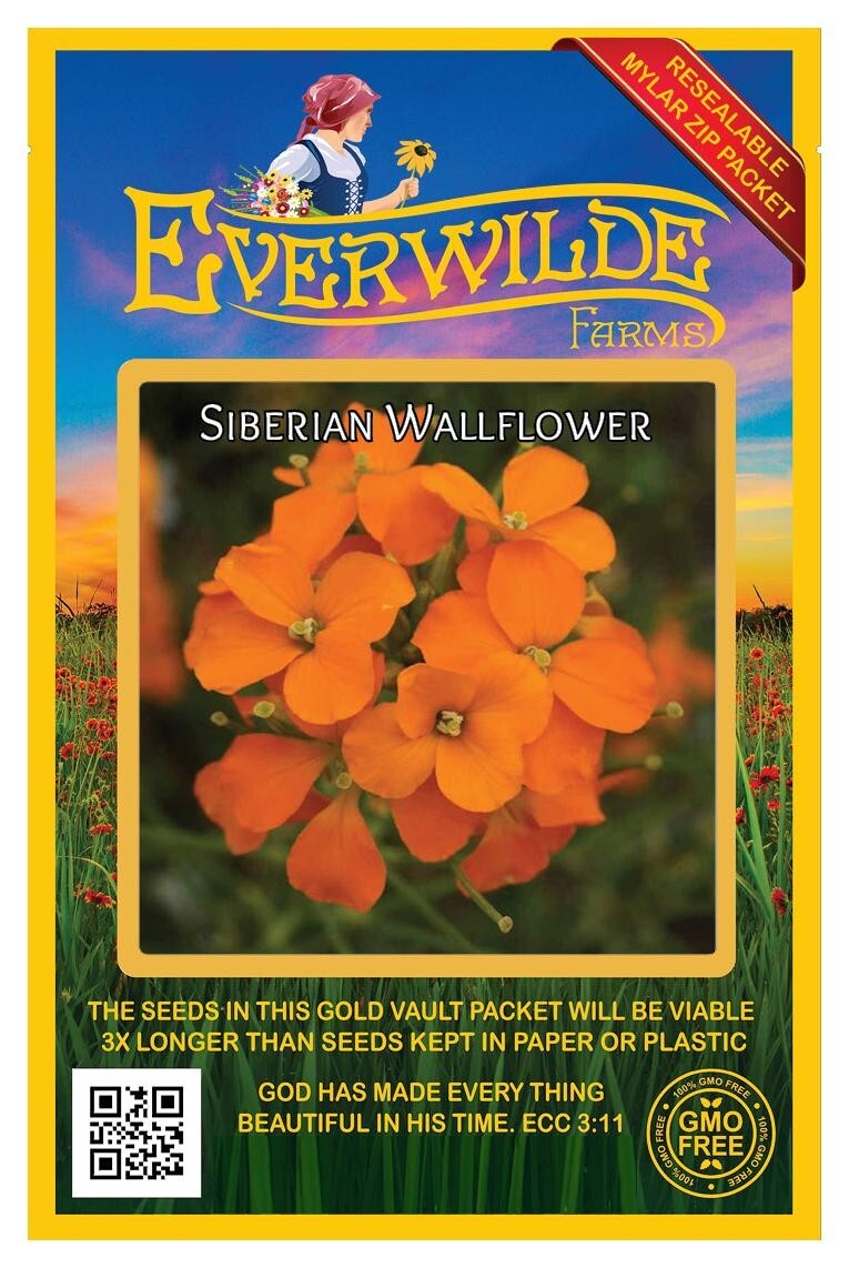 2000 Siberian Wallflower Wildflower Seeds – Everwilde Farms Mylar Seed Packet
