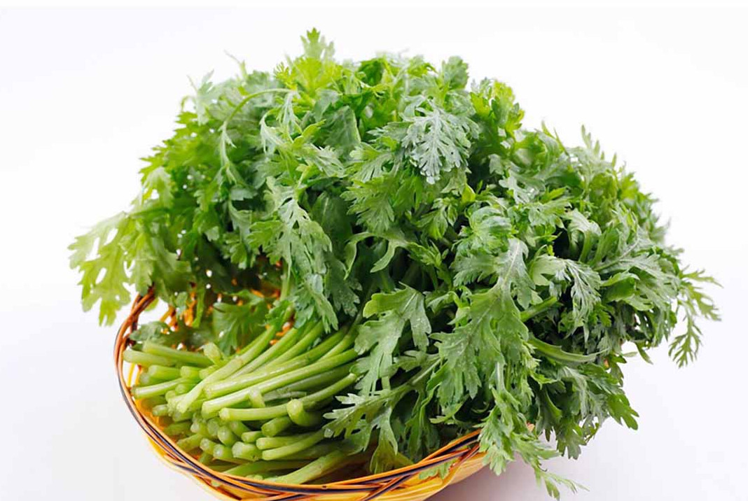 20 Gr (3500 Seeds) Chrysanthemum Greens Seeds for Planting, Tong Ho Choy Seeds