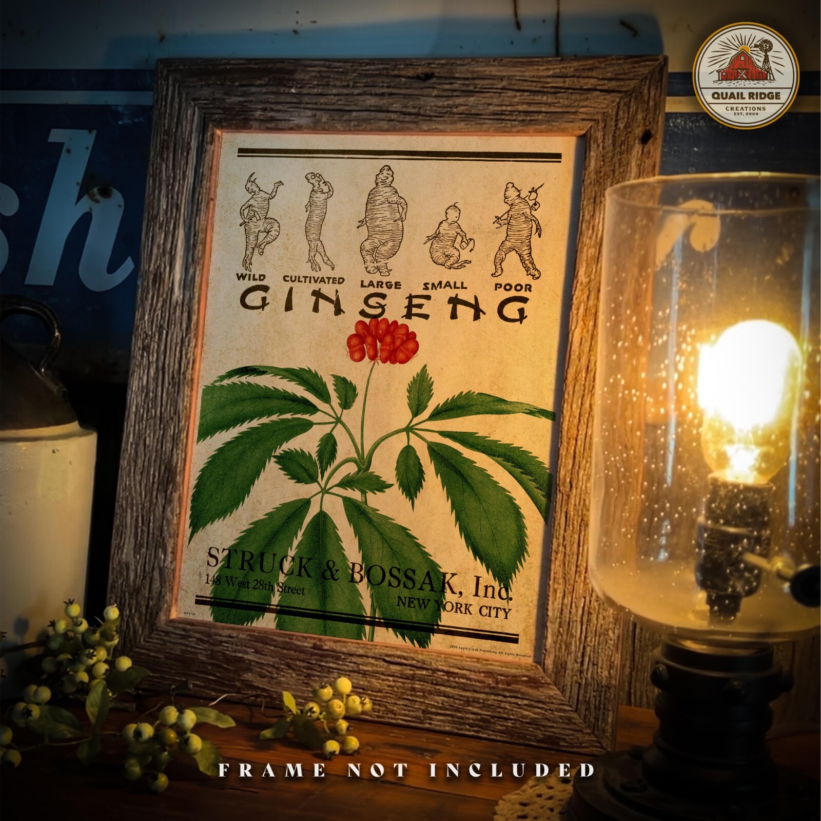 Wild Ginseng Root Poster Art Print Vintage Ginseng Hunting Wall Art Decor Gift