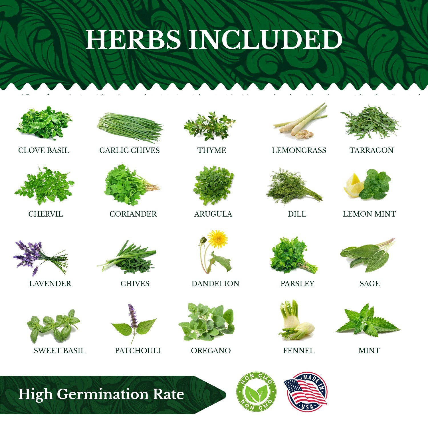 20 HERB Seeds Variety Pack Culinary Herbs Indoor Outdoors Herb Seeds, Basil & mo