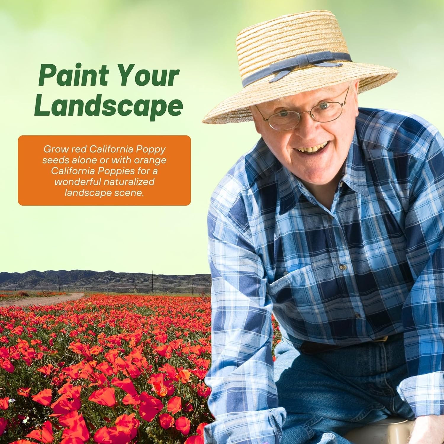 1 LB Red California Poppy Flower Seed For Planting | Seeds For Xeriscaping