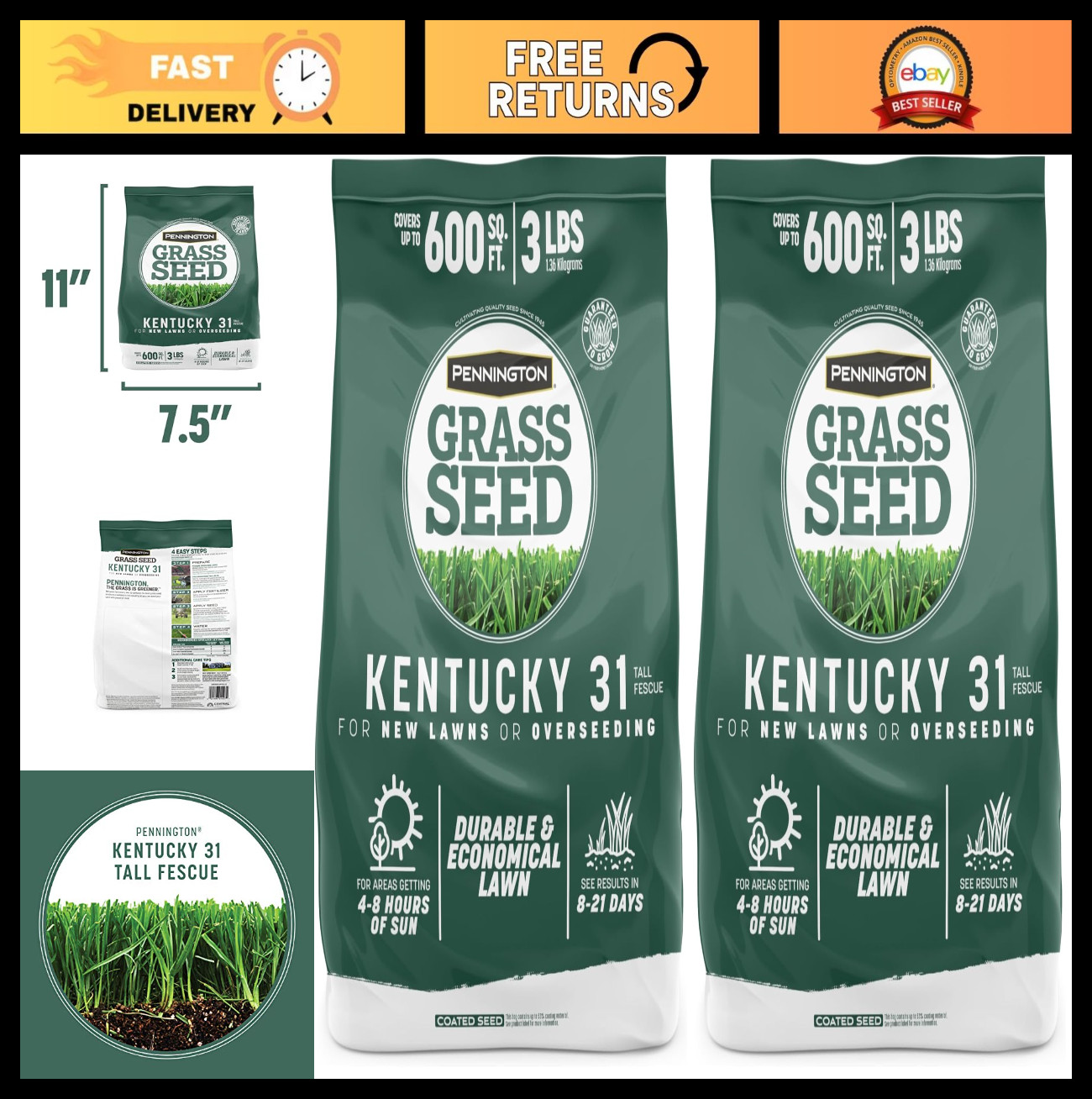 Tall Fescue Grass Seed 3 lb Pack of 2 – Kentucky 31 Penkoted for Lush Green Lawn