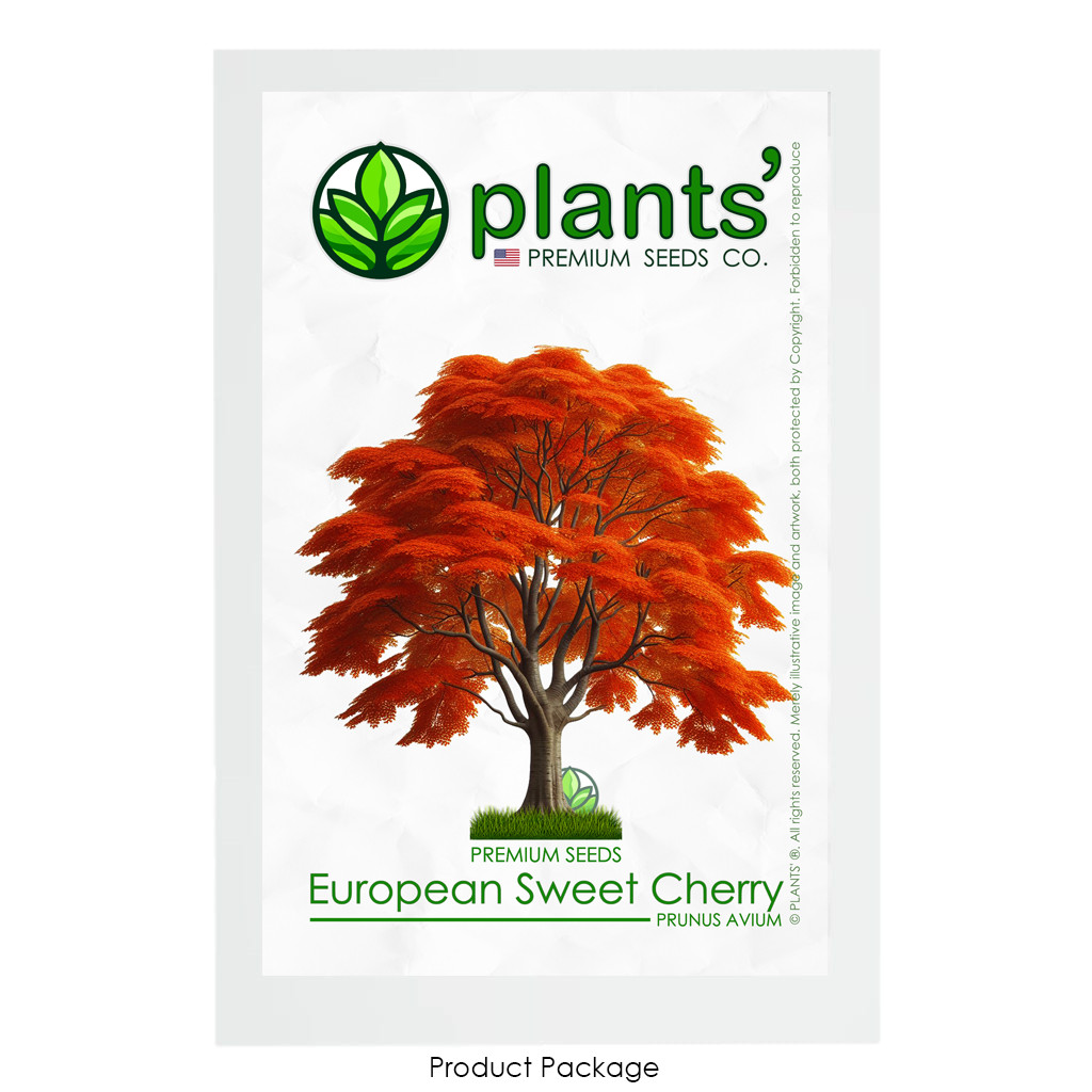 European Sweet Cherry Tree | Premium Seeds | Prunus avium ‘Fall’ | Plants’®