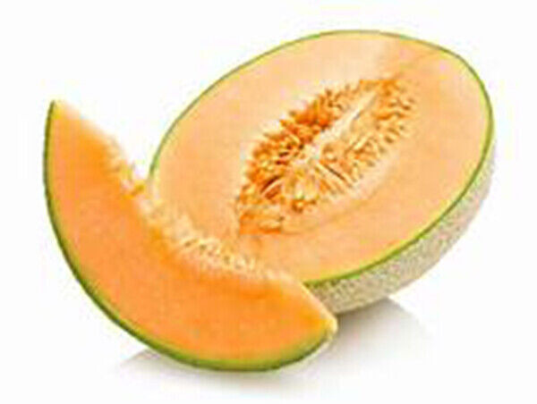 SCARBOROUGH SEEDS Cantaloupe, Hale’s Best Jumbo 50 SEEDS NON-GMO | ORGANIC | USA