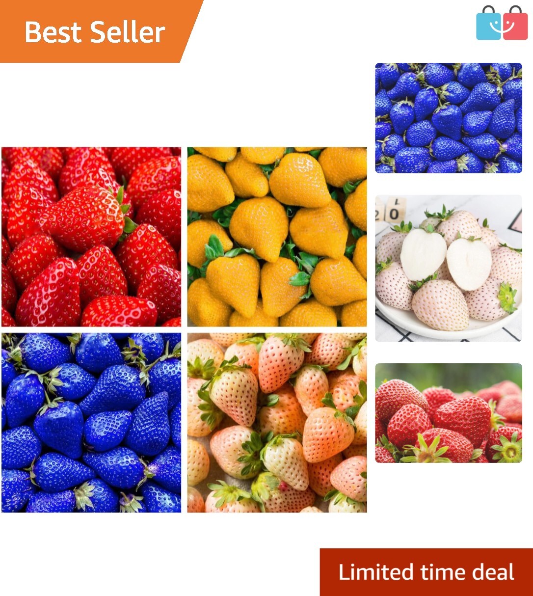 400+ Heirloom Non-GMO Mixed Strawberry Seeds – Sweet Red, Blue, White & Yellow