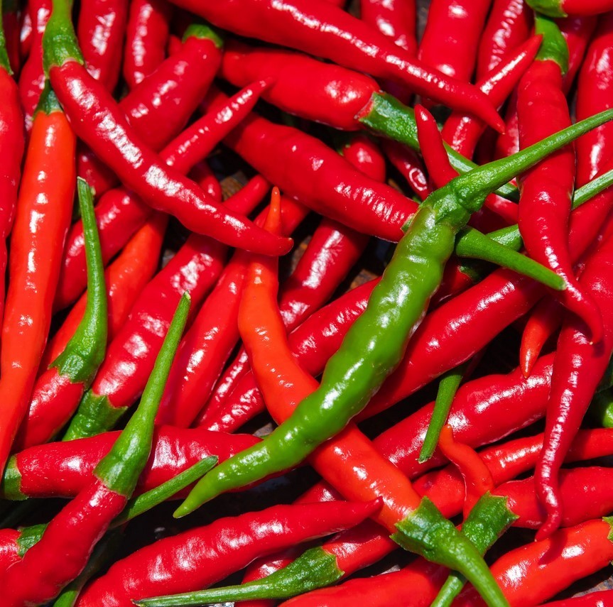 200+ Long Slim Cayenne Hot Pepper Seeds — HOT ———– Heirloom —- NON GMO