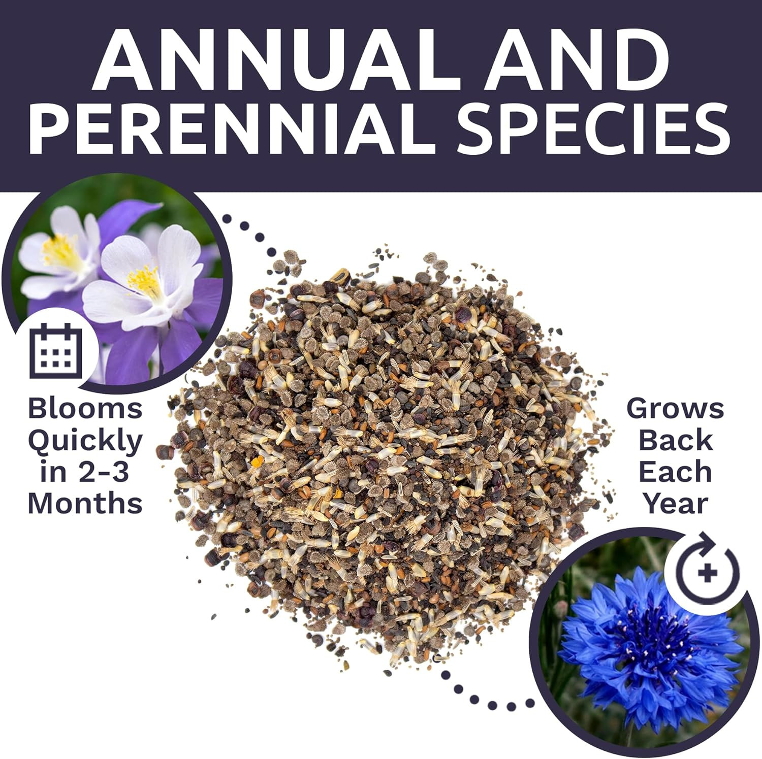 Bulk Wildflower Seeds Partial Shade Mix – 1/4 Pound Bag Annual & Perennial Seeds