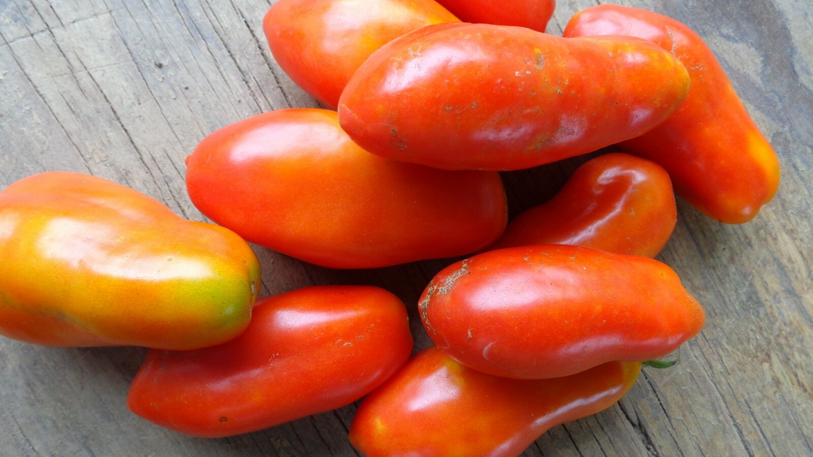 101+ROMA TOMATO Seeds Paste Sauce Canning Salads Garden Container Organic Easy