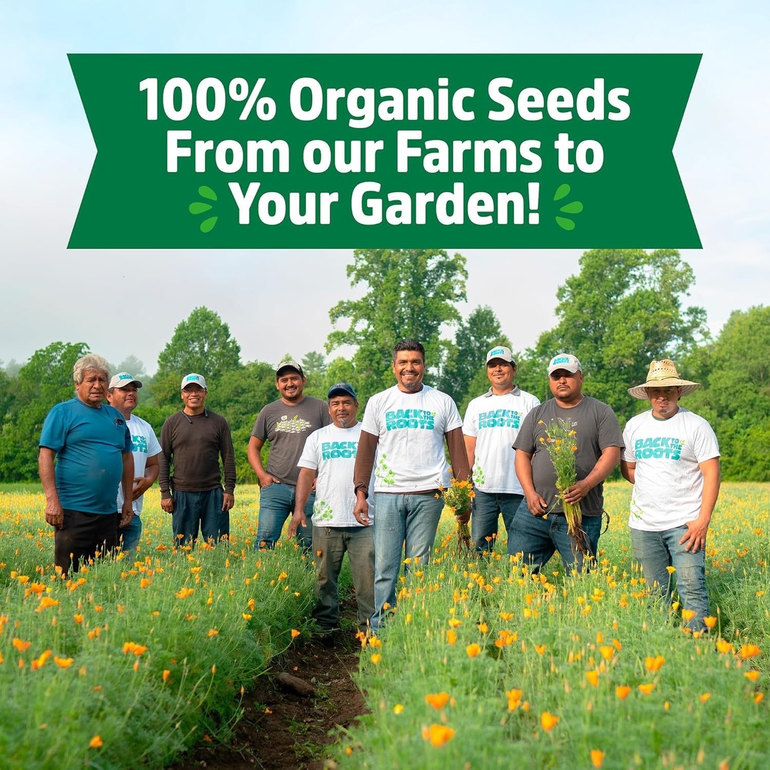 Assorted 30pk Organic Non-GMO Seeds – Perfect for -Round Gardening Success