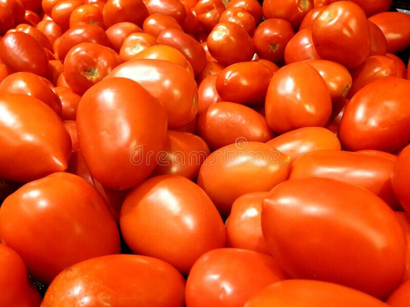 Red Plum Tomato 30 Seeds – Heirloom NON GMO