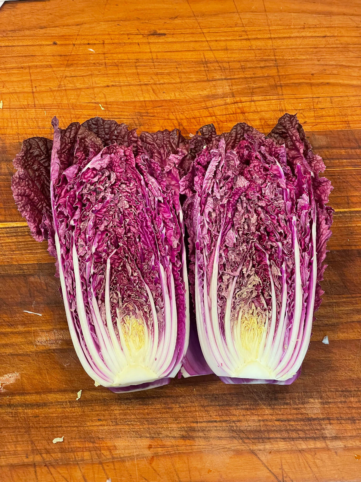 Merlot Red Dragon Chinese Cabbage Hybrid (F1) seeds – Brassica rapa
