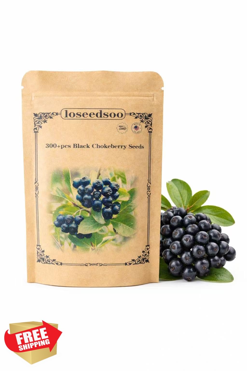 Aronia Melanocarpa Black Chokeberry Seeds 300+ for Planting Non-GMO Heirloom …