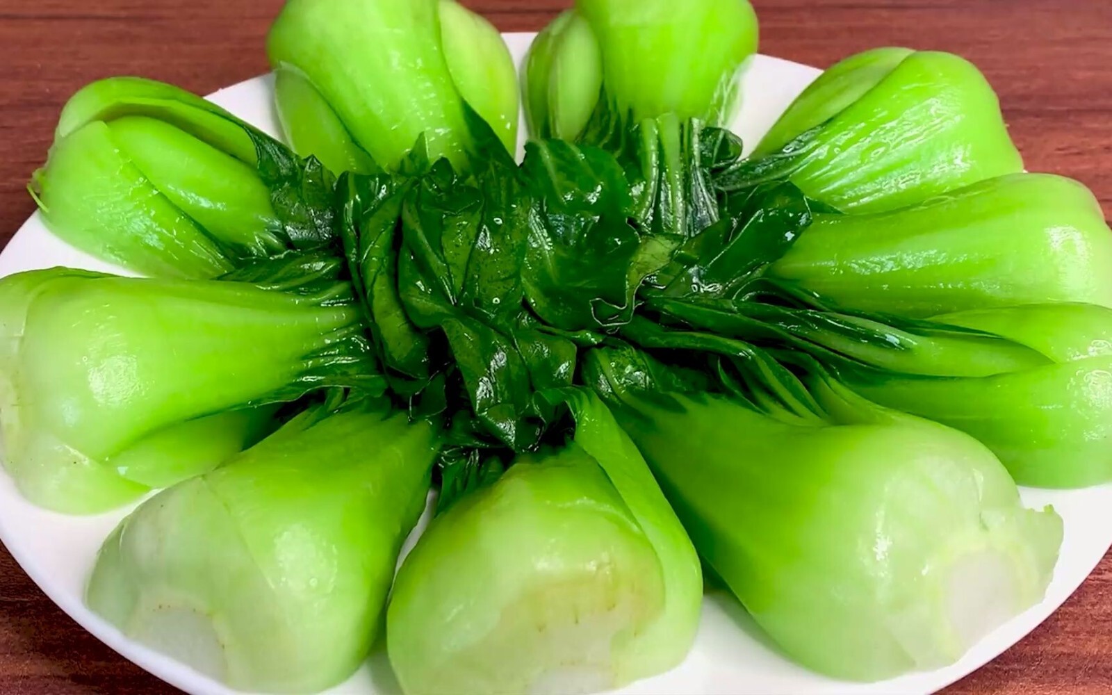 1500 + BABY PAK CHOI Bok Choy Chinese Cabbage Seeds USA Seller!! FREE SHIPPING!