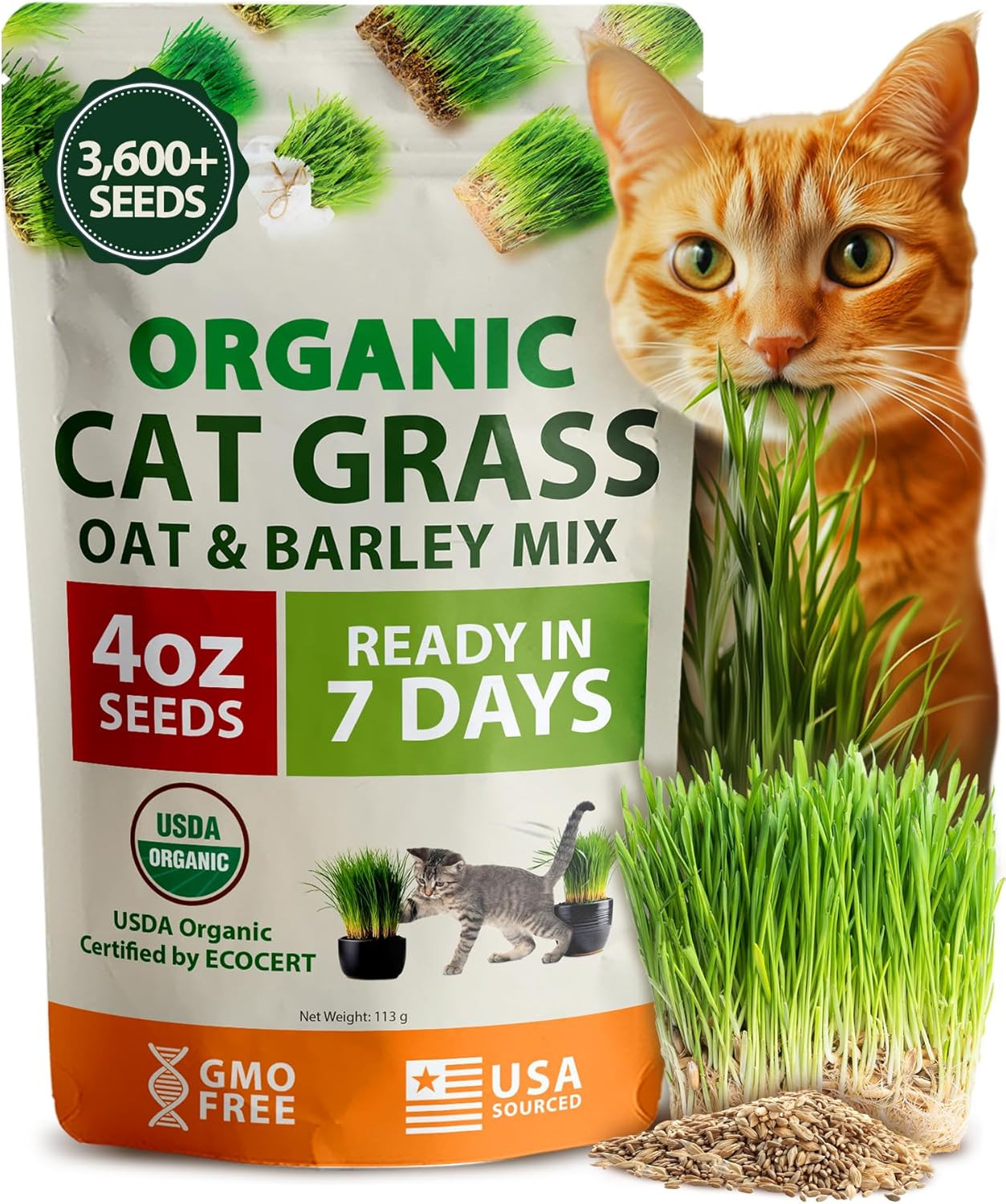 HOME GROWN Organic Cat-Grass Seed Mix (Oat & Barley) – 4 oz – Easy Indoor Plante