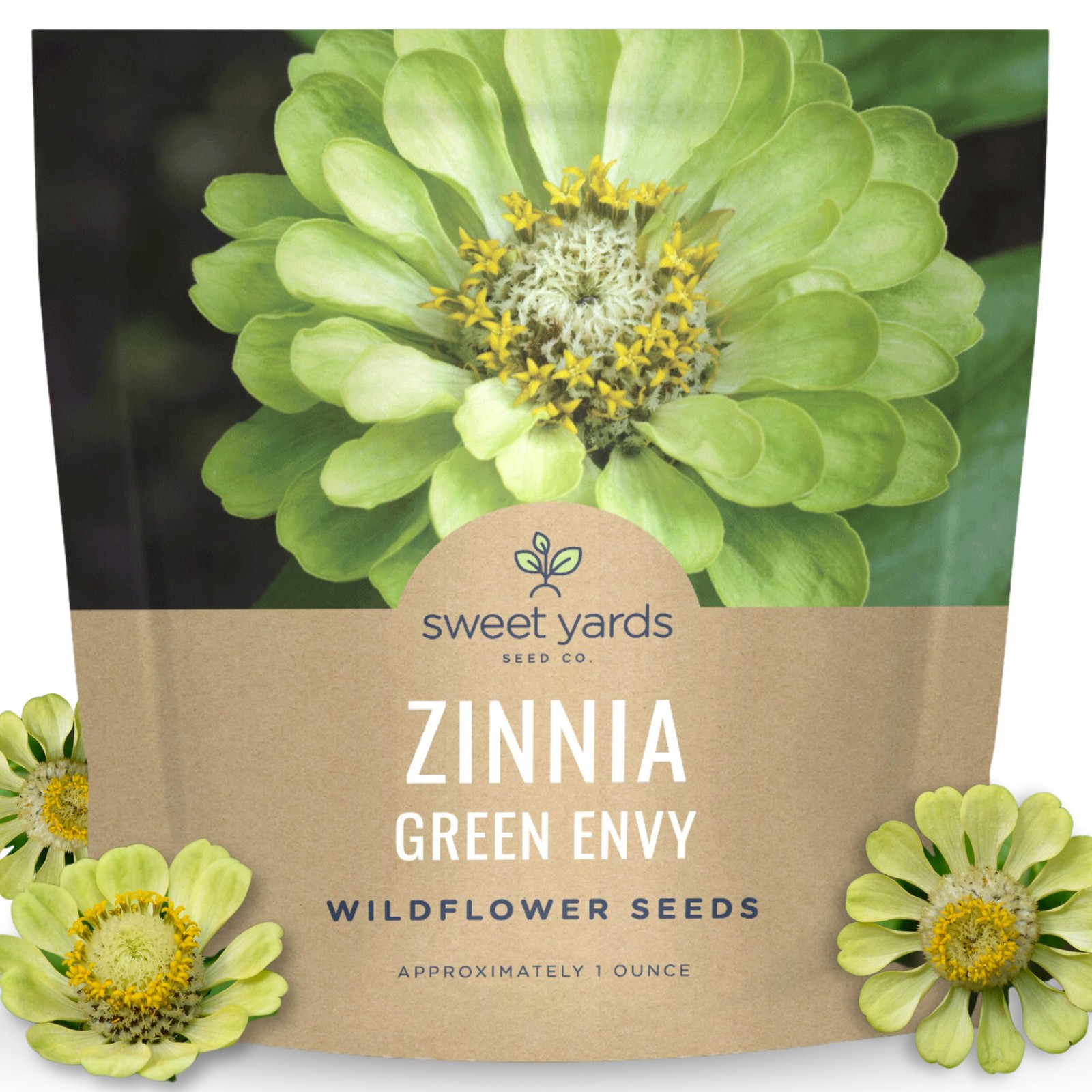 Zinnia Green Envy Large 1 Ounce Packet 4,000 Flower Seeds For Planting