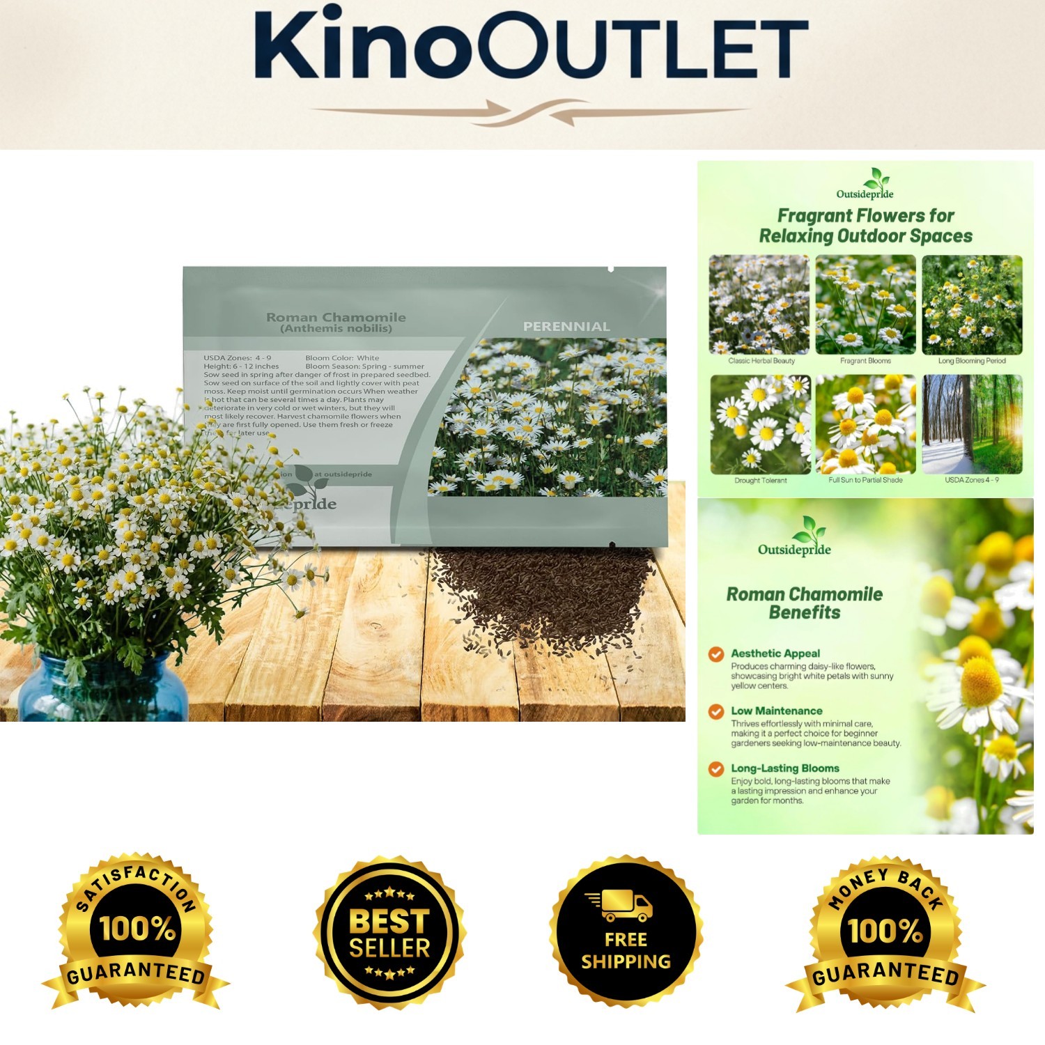 25000 Count Roman Chamomile Seeds – Perennial Herb for Beautiful Outdoor Spaces