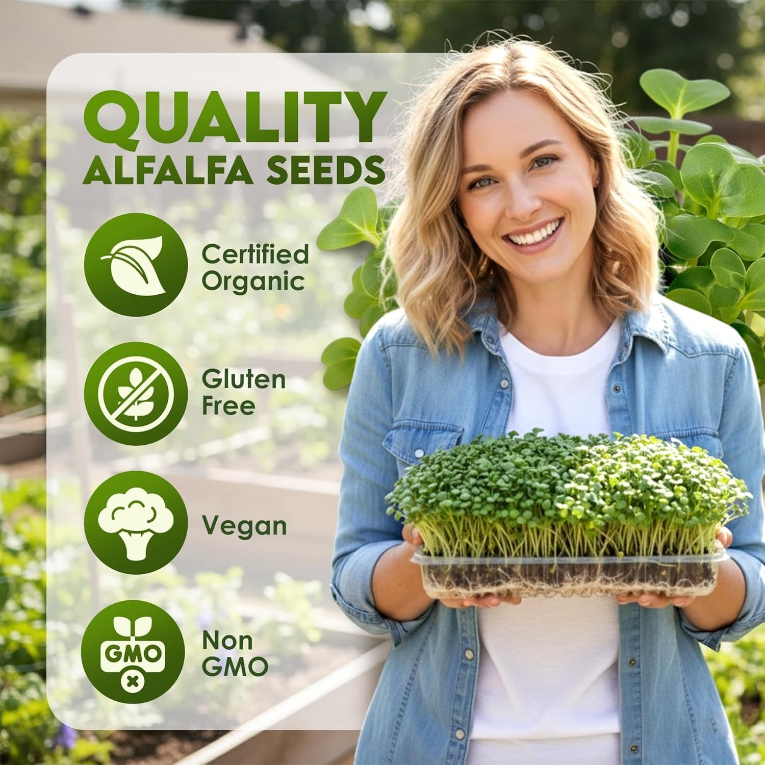 Alfalfa Seeds – Non-GMO Organic Sprout Growing Kit for Planting – Resealable…