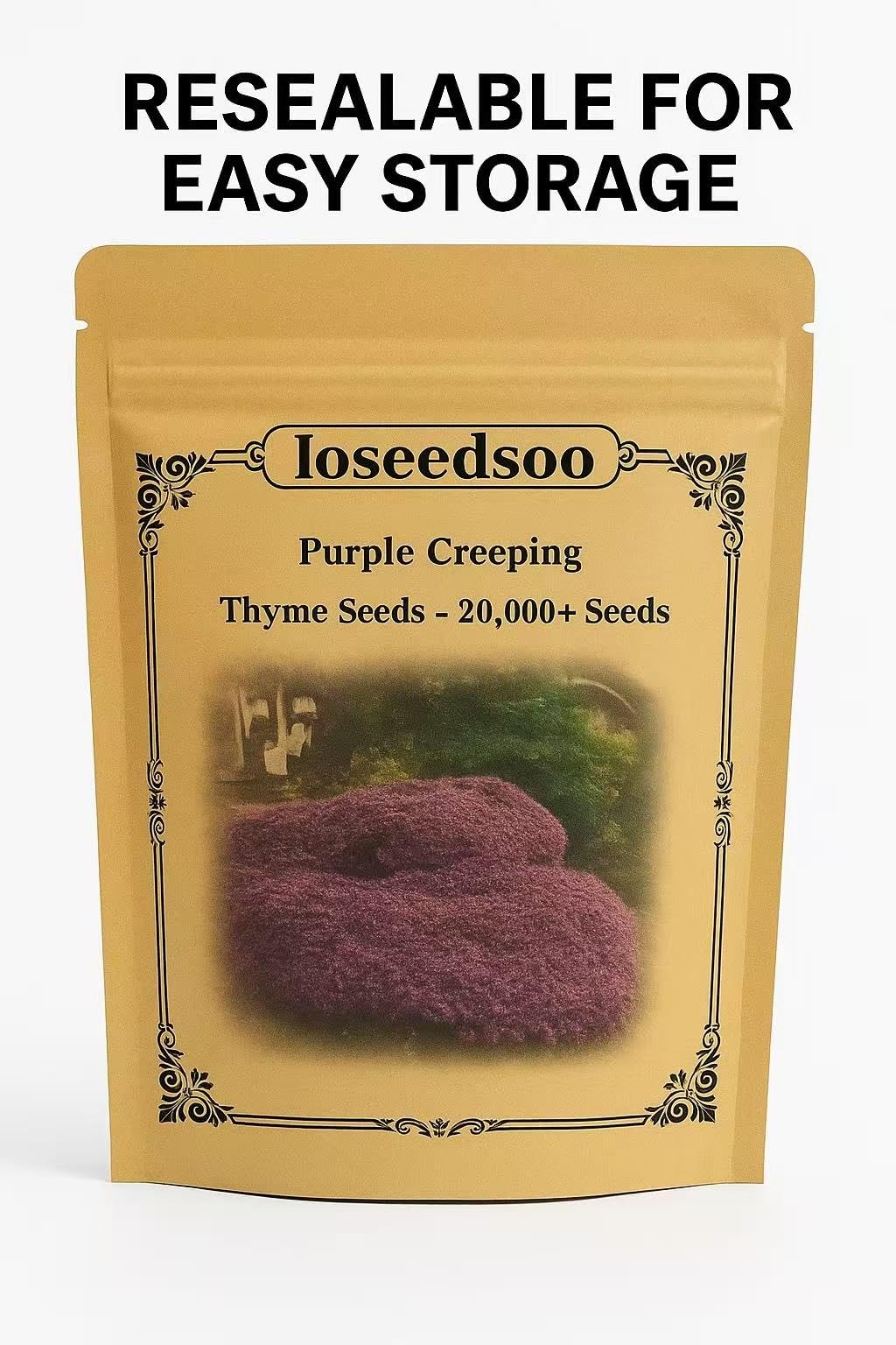 20000+ Creeping Thyme Seeds for Planting -Perennial Ground Cover Plants Flowe…
