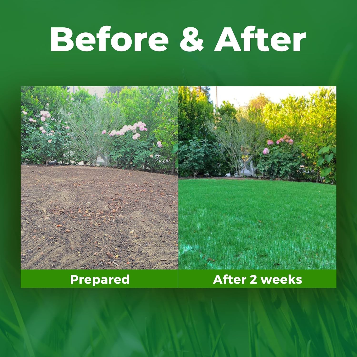 200 Sq Ft Biodegradable Tall Fescue Green Grass Seed Mix and Fertilizer Mat for