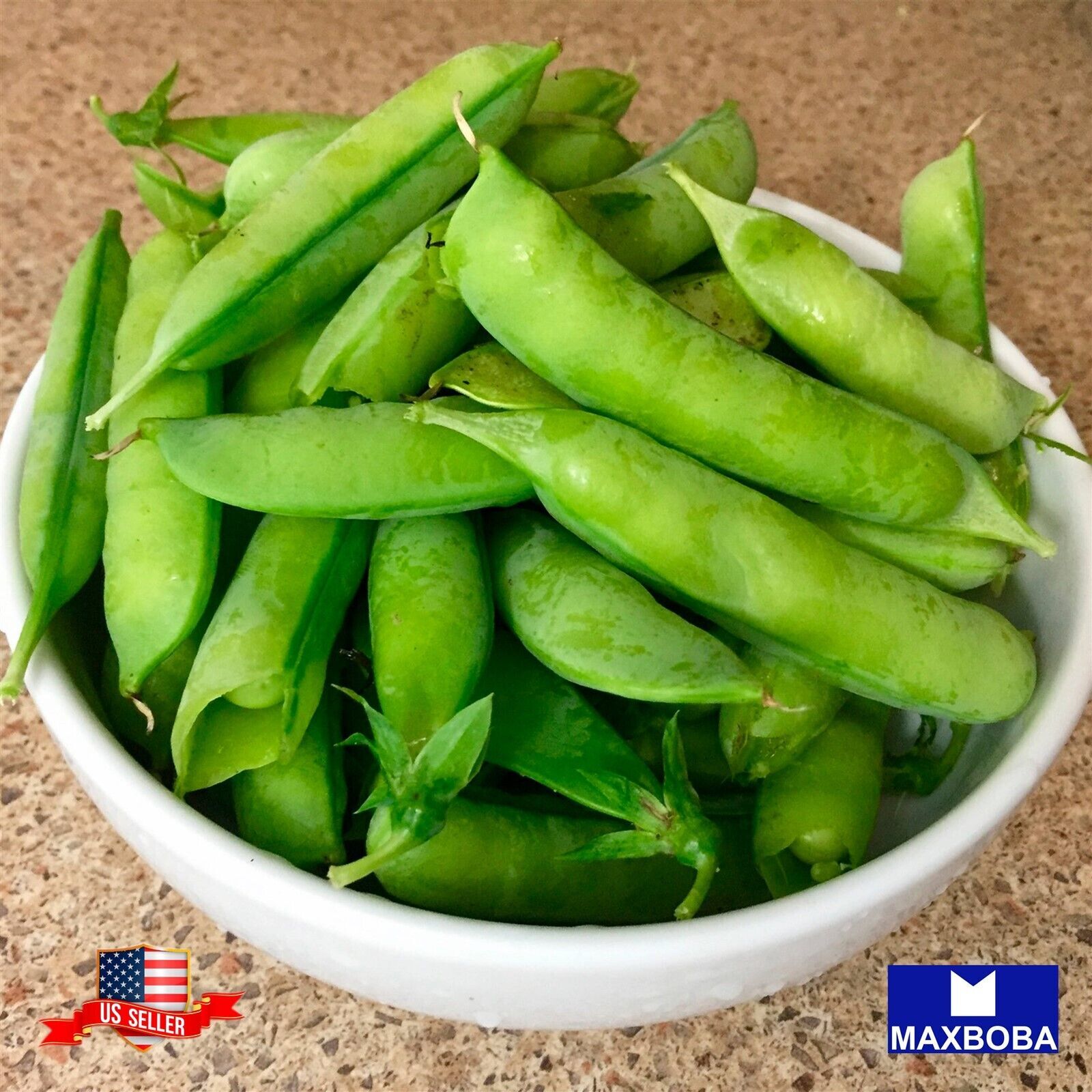 Fresh!!Cover Crop Broad Windsor Seeds Fava Bean Non-GMO Heirloom Vegetable
