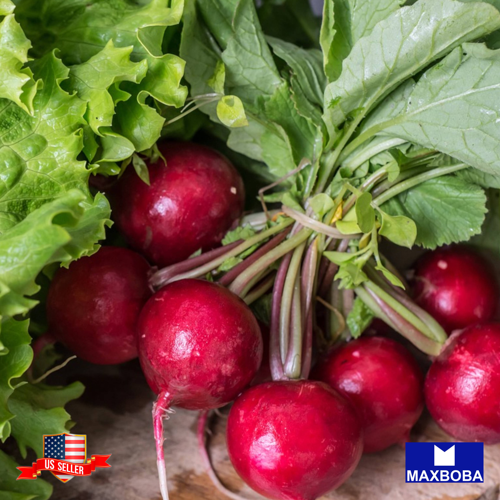 Radish Seeds – Early Scarlet Globe Non-GMO Heirloom Vegetable
