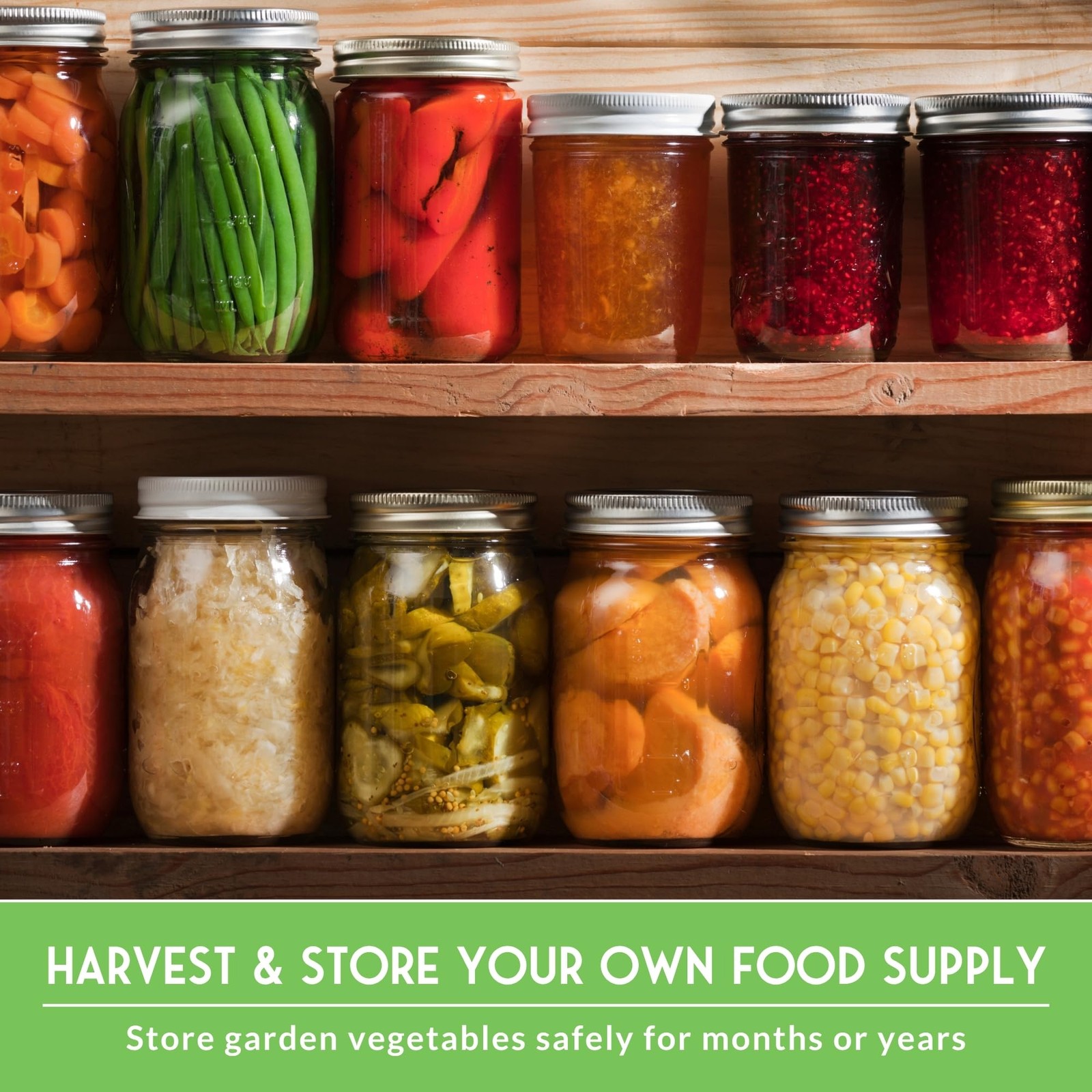 Homesteader Seed Vault 50 Packs of NonGMO Heirloom Vegetable, Fruit, Herb Se…