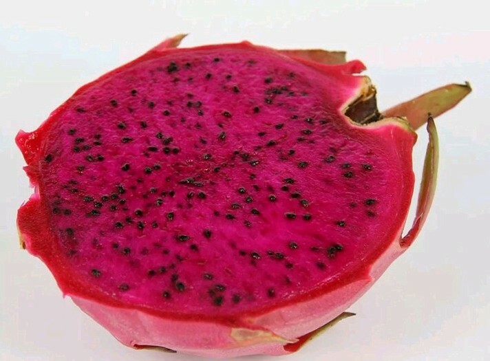 40 Dragon Fruit seeds( 10 Red, 10 purple, 10 Yellow, 10 White) individual packag