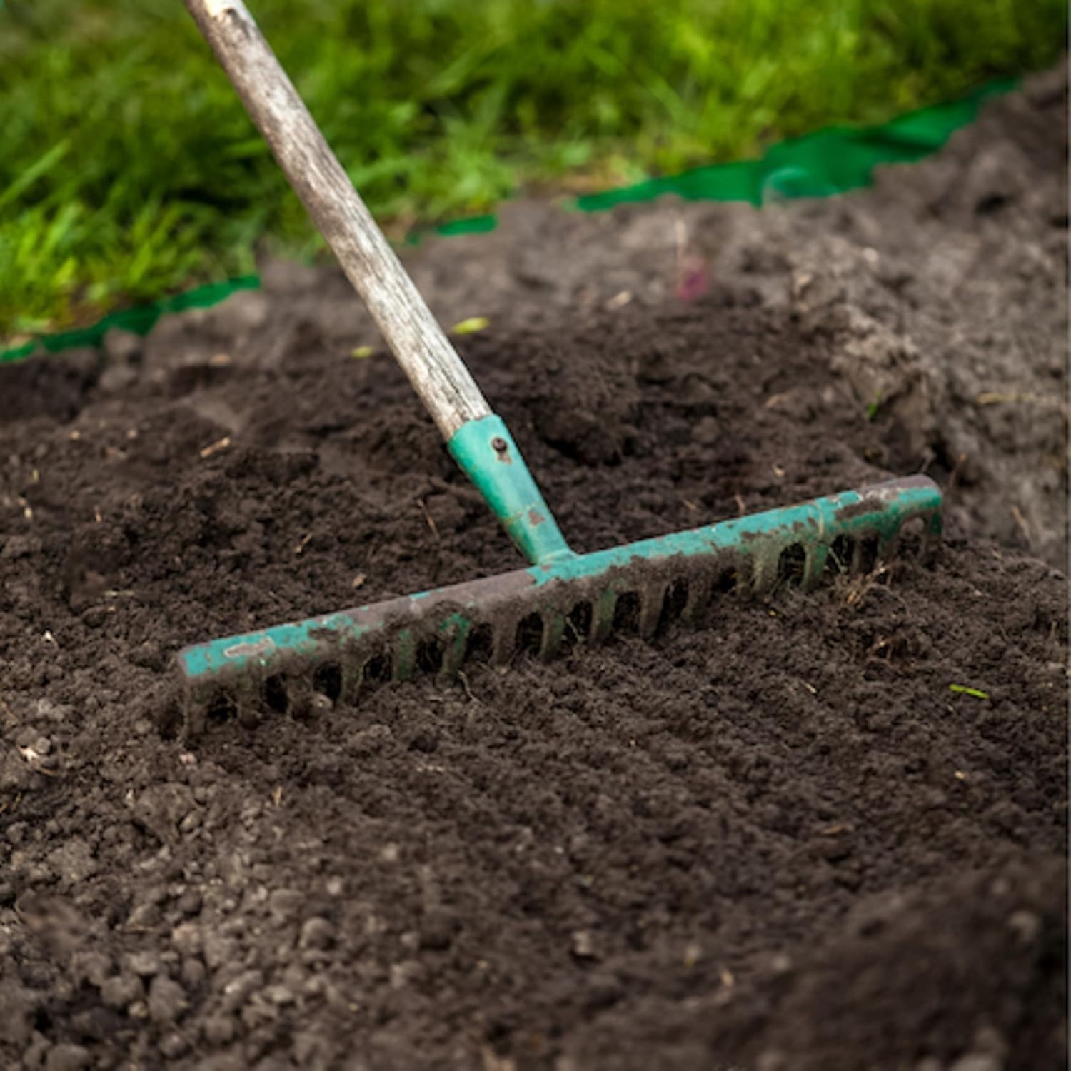 Pennington Northern Contractors Grass Seed Mix 40 lbs Covers Up To 8000 sq. ft.