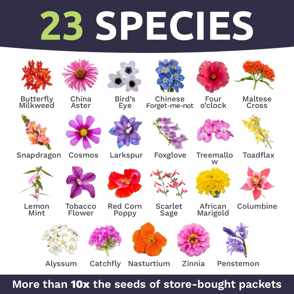 1/4 Pound Wildflower Seeds Butterfly Hummingbird Mix Over 30000 Open Pollinated