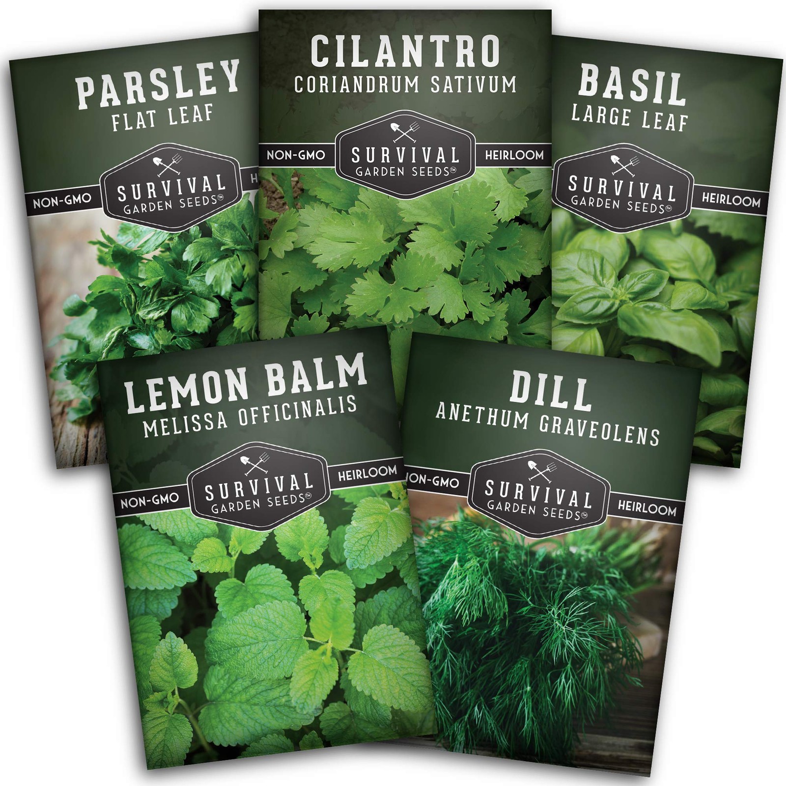 Herb Seeds Variety Pack – 5 Heirloom Kitchen Herbs for Easy Indoor & Outdoor