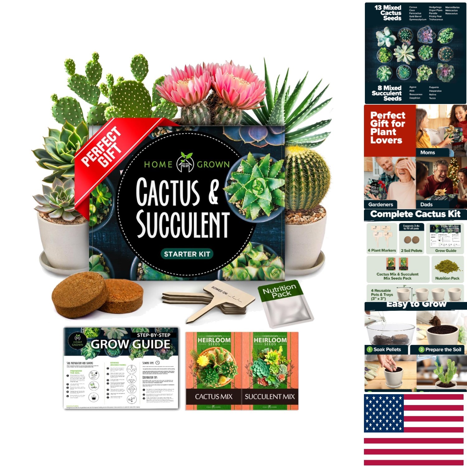 Complete DIY Succulent & Cactus Starter Kit – Indoor/Outdoor Gardening Fun!