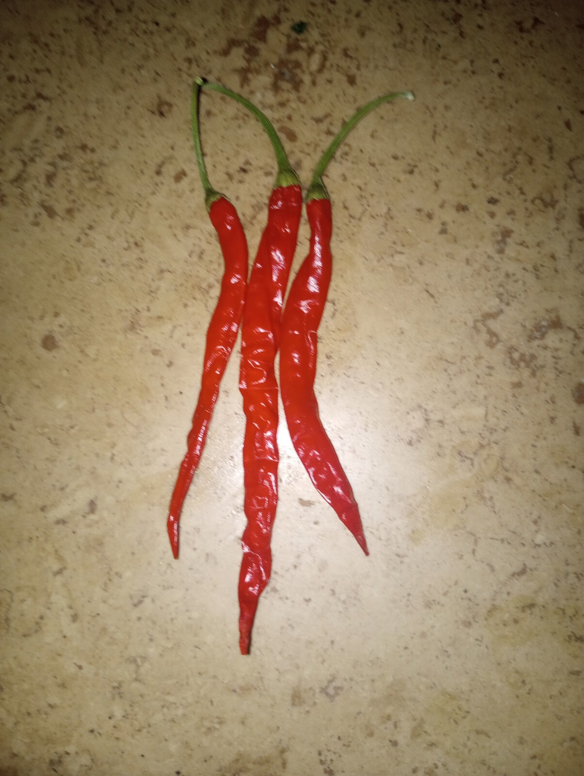 Cayenne Long THIN 15 seeds 2023 Season Fresh Batch Heirloom Variety Nice Heat