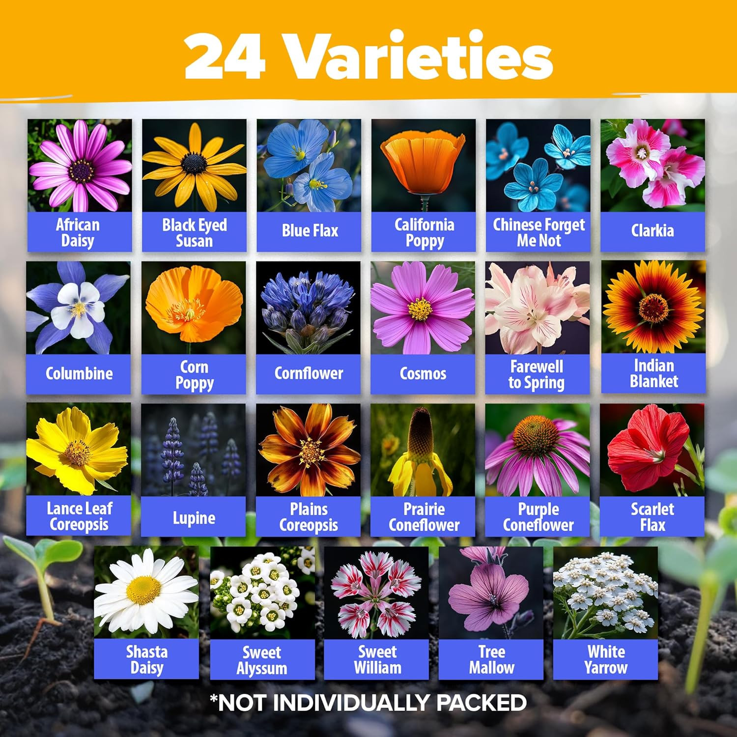 90,000+ Wildflower Seeds Mix 3Oz 24 Varieties Non-Gmo Perennial Flower Seeds for